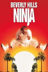 Download Beverly Hills Ninja (1997) Blu-Ray Dual Audio {Hindi-English} 480p [300MB] | 720p [1GB] | 1080p [1.8GB]