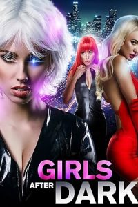 Download Girls After Dark (2018) WEB-DL Dual Audio {Hindi-English} 480p [260MB] | 720p [730MB] | 1080p [1.6GB]