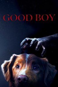Download Good Boy (2025) WEB-DL {English With Subtitles} Full Movie 480p [220MB] | 720p [900MB] | 1080p [1.4GB]