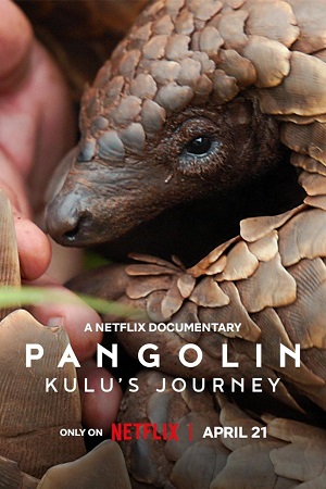Download Pangolin: Kulu’s Journey (2025) WEB-DL Dual Audio {Hindi-English} 480p [320MB] | 720p [760MB] | 1080p [3.4GB]