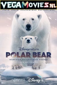 Download Polar Bear (2022) {English With Subtitles} 480p [250MB] | 720p [700MB] | 1080p [2.4GB]