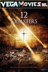 Download The 12 Disasters of Christmas (2012) Dual Audio {Hindi-English} 480p [300MB] | 720p [1.2GB]