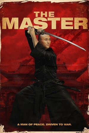 Download The Master (2014) Dual Audio {Hindi-English} 480p [300MB] | 720p [800MB] | 1080p [2GB]