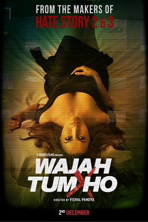 Download Wajah Tum Ho (2016) Hindi Full Movie 480p [350MB] | 720p [1.2GB] | 1080p [4GB]