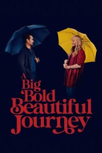 Download A Big Bold Beautiful Journey (2025) Dual Audio {Hindi-English} Web-DL 480p [450MB] | 720p [1.2GB] | 1080p [2GB]